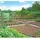 Dehner Tomatenreifehaus 190 x 170 x 80 cm