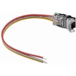EUROLITE LED Strip Einspeiser 3Pin 10mm