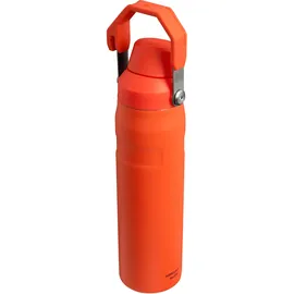 Stanley Iceflow Fast Flow Trinkflasche Sport 0.6L - Thermosflasche Hält 10 Stunden Kalt - Spülmaschinenfest - Wasserflasche Auslaufsicher - Sportflasche BPA-Frei - Tigerlily Plum
