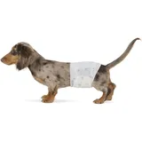 Amazon Basics Hundewindel für Rüden, Einwegwindeln, Größe S, Weiß, 30 Stück