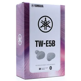 Yamaha TW-E5B grey