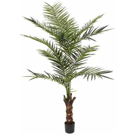 Europalms Kentia Palme, Kunstpflanze, 240cm