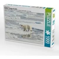 Calvendo Ein Motiv aus dem Kalender Eisbären - Könige