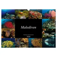 Calvendo Malediven - Die bunte Unterwasserwelt (Wandkalender 2026 DIN