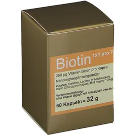 FBK Biotin 1 x 1 pro Tag