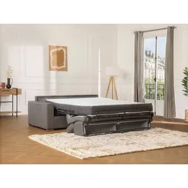 vente-unique - Schlafsofa 4 Vizir - Polyester - grau