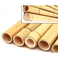 bambus-discount.com 1x Bambusstange 300cm gelb mit Durchmesser von 14-16cm - XXL Moso Bambusrohr Gebleicht 3m lang