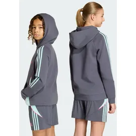 adidas Hoodie Grey 140