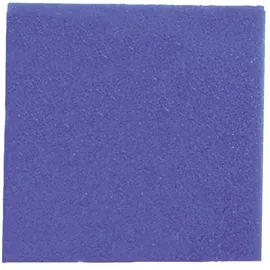JBL Filtermaterial Filterschaum blau fein 50 x 50 x 10 cm