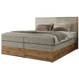 MKS Boxspringbett mit Bettkasten - beige - Maße (cm): B: 164 H: 120