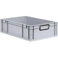 Proregal Eurobox NextGen Color, HxBxT 17x40x60cm, 34 Liter, Griffe