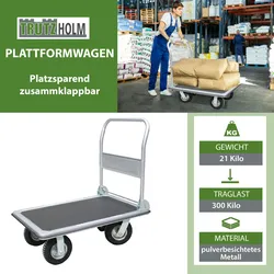 Baumarktplus Plattformwagen 300 kg luftbereift Transportwagen Handwagen Transportkarre