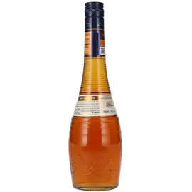 Bols Apricot Brandy 24%