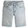 Levi's 405 Standard Shorts Last Encore Shorts