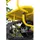 BAMATO Schubkarre MTR-150K 150 kg