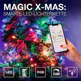 LEDVANCE SMART WIFI CRYSTAL LED-Lichterkette mit buntem Licht, Macig RGB, dimmbar, schwarz, Leuchtmittel nicht austauschbar - Schwarz