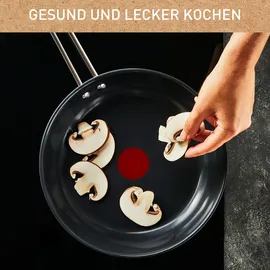 Tefal Nordica Bratpfanne 24 cm