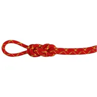 Mammut Alpine Core Protect Dry Halbseil rot/weiß