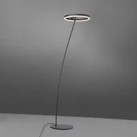 Paul Neuhaus Titus LED-Stehlampe anthrazit Dimmer,