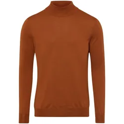 Strickpullover Louis Sayn braun