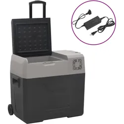 Kühlbox mit Rollen und Adapter Schwarz & Grau 50 L Polypropylen