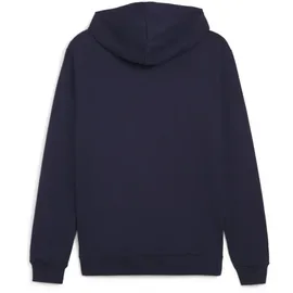 Puma teamGOAL Casuals Kapuzenjacke Blau 116