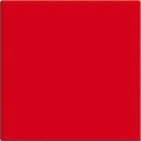 Busch-Jaeger Wippe rt 2506-917