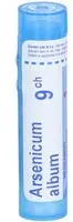 ARSENICUM ALBUM BOIRON 9CH tube-granules Granulés 80 g