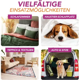 Futum Bettwanzen- / Flohspray 6 l 3 x 2 l