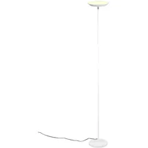 rl live your light Deckenfluter SPECTER LED dimmbar & Lichtfarbe einstellbar, Weiß, Höhe 178cm