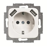 Busch-Jaeger Steckdose 20 EUCB2USB-214
