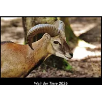 Vero Kalender Welt der Tiere 2026 Fotokalender DIN A3