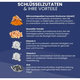 Biostile Curcumin Kapseln 60 St.