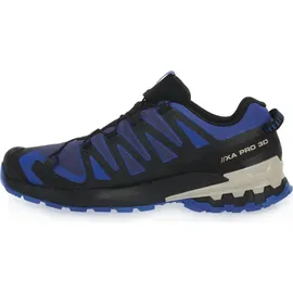Salomon XA Pro 3D V9 GTX Herren Blue Print/Surf The Web/Lapis Blue 42