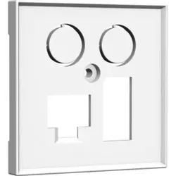Homeway Zentralplatte 55x55mm rws TV+LAN/TAE 55x55