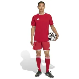 adidas Tiro 26 Competition Match Day rot L
