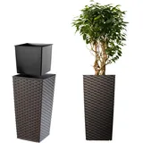 Kadax Rattan Blumentopf, Pflanzkübel mit Einlage, 40 cm, Mokka