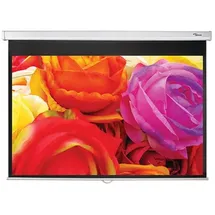 Optoma DS-1095PMG+ 203x126 16:10