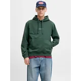 JACK & JONES JORNORREBRO EMB SWEAT HOOD in grün | Gr.: M