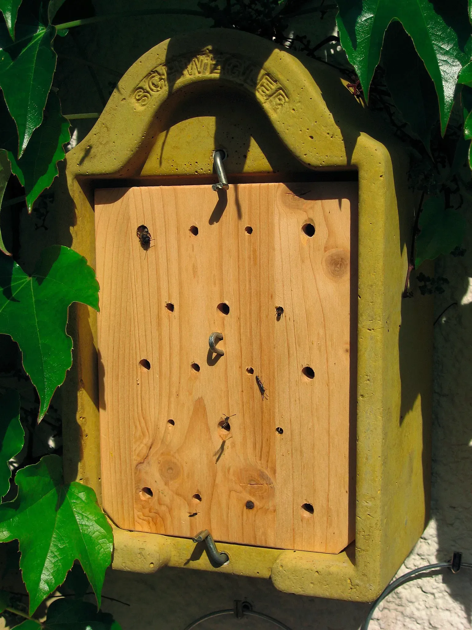 Insektennisthaus zum Beobachten