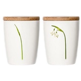 Simply Flowers Tasse, Kaffeetasse, Teetasse, Vorratsdose - mit Bambusdeckel - Motiv: Märzenbecher- 240 ml - 1 Stück