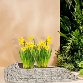 Relaxdays 55 x 10 x 25 cm Weiß