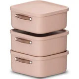 Rotho Maloja Aufbewahrungsbox 39,5 x 38,0 x 17,7 cm 3-tlg. rosa