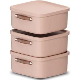 Rotho Maloja Aufbewahrungsbox 39,5 x 38,0 x 17,7 cm 3-tlg. rosa