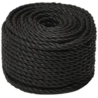 VidaXL Arbeitsseil Schwarz 12 mm 50 m Polypropylen