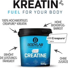 Bodylab24 Creatine Creapure® (500g)