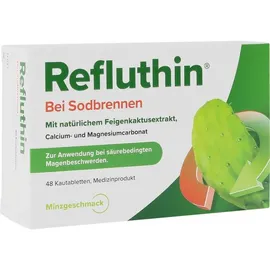 Dr. Willmar Schwabe Refluthin bei Sodbrennen Kautabletten Minze