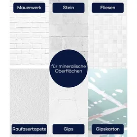 Plid Schneeweiß Innenfarbe Weiß matt 10 l