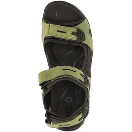 ECCO Offroad Herren grün 45