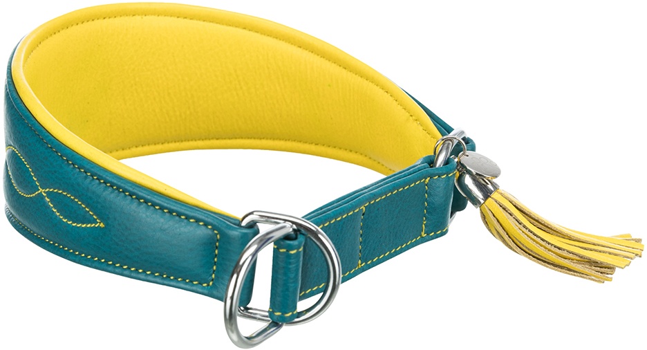 Trixie Active Comfort Halsband für Windhunde Größe S–M: 33–42cm, B 60mm Hund